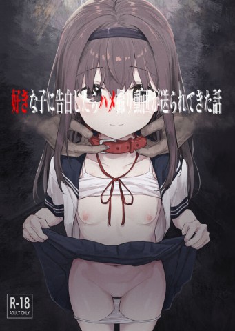 Thumbnail for Suki na Ko ni Kokuhaku Shitara Hamedori Douga ga Okurarete Kita Hanashi